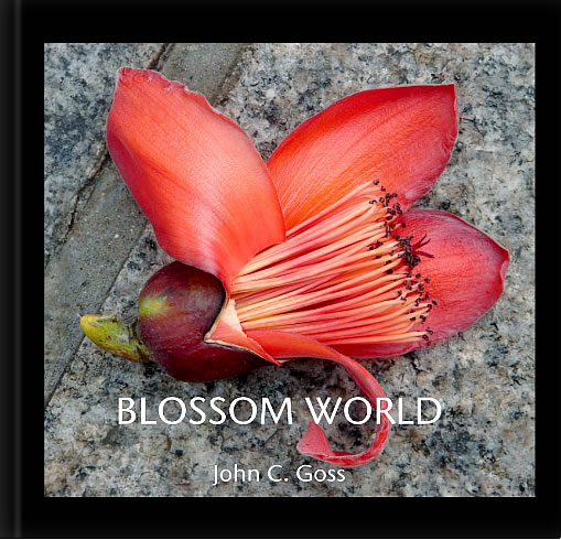 Blossom World, photographs by John C. Goss (c) 2014